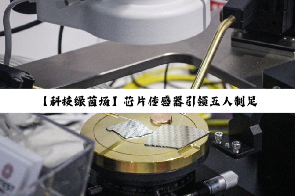 【科技绿茵场】芯片传感器引领五人制足球革命：精准追踪下的新规则时代