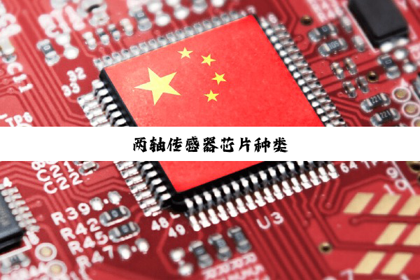两轴传感器芯片种类